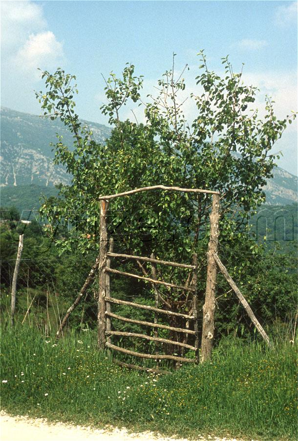 Gate made from branches / Location: Epirus, Greece